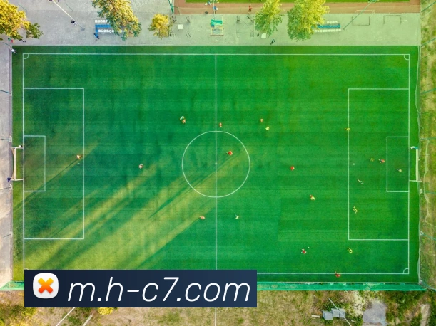 c7娱乐平台生态图